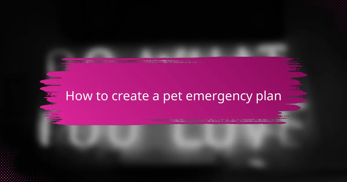 How to create a pet emergency plan