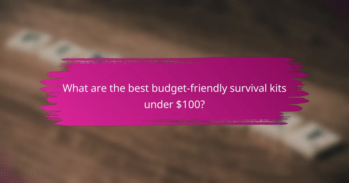 What are the best budget-friendly survival kits under $100?